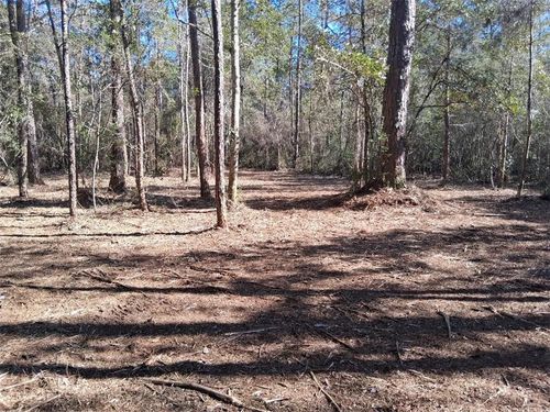 0 Dolphin Rd, Theodore, AL, 36582 | Card Image