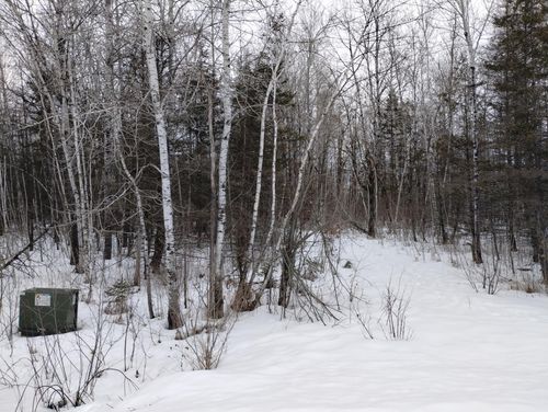 tbd 294th Ave, Brook Park, MN, 55007 | Card Image
