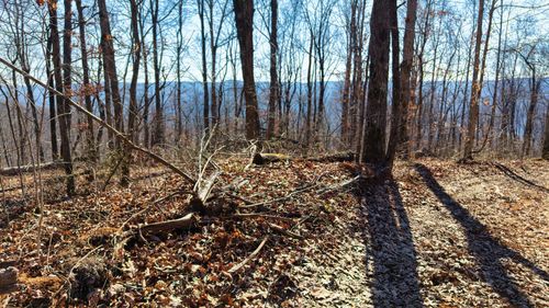 0 Dykes Mountain Rd, Beersheba Springs, TN, 37305 | Card Image