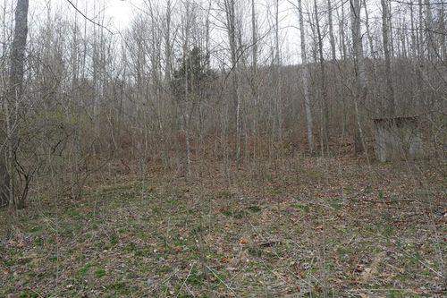 TBD Old Mill Rd, Glade Spring, VA, 24340 | Card Image
