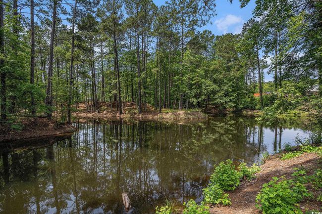 Water view | Image 36