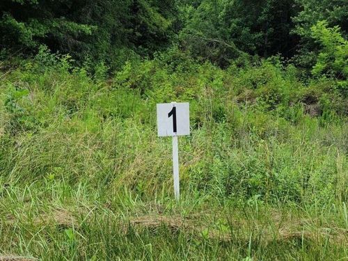 Lot 1 Dillards Hill Rd, Union Hall, VA, 24176 | Card Image