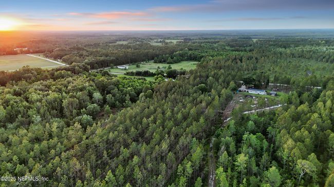 21 acres adjacent to the Turkey Creek hunting club | Image 19