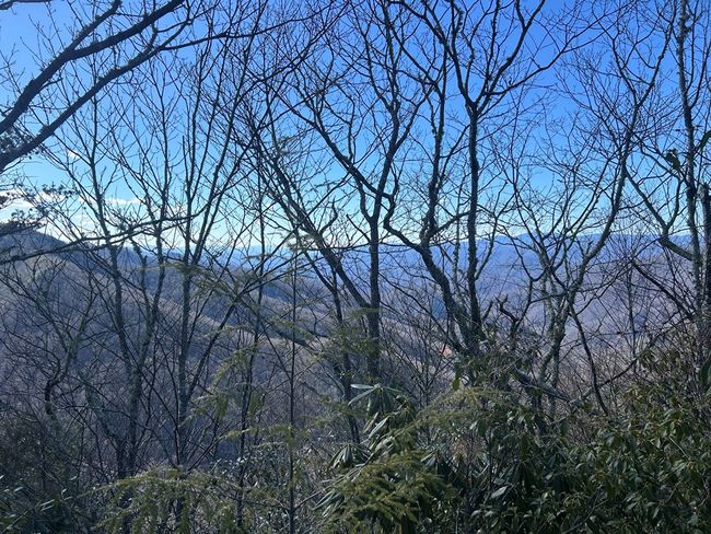 Lot 84 Black Rock Rd, Home with 0 bedrooms, 0 bathrooms and null parking in Cherokee NC | Image 8