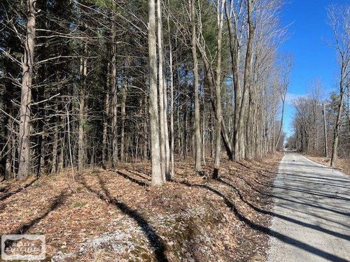 0 Burton Rd, Capac, MI, 48014 | Card Image