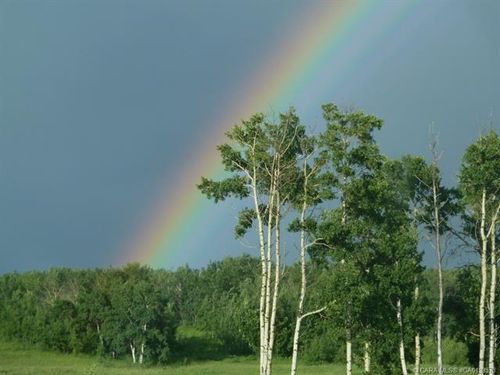 17-420069 Range Road 284, Rural Ponoka County, AB, T4J1R3 | Card Image