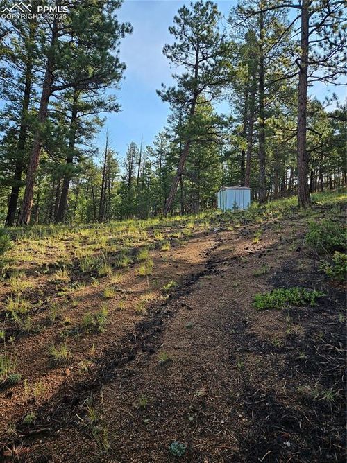 1117 Appleby Dr, Sedalia, CO, 80135 | Card Image