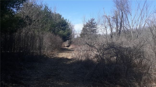 0 County Route 25, Home with 0 bedrooms, 0 bathrooms and null parking in Antwerp NY | Image 10
