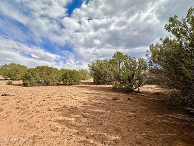 36 - 39 Alabama Avenue, Home with 0 bedrooms, 0 bathrooms and null parking in Concho AZ | Image 3