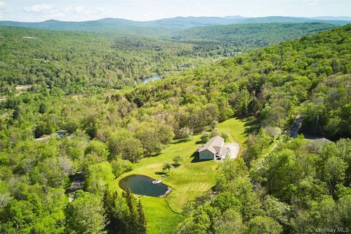 55 Hunter Rd, Neversink, NY, 12765-6002 | Card Image