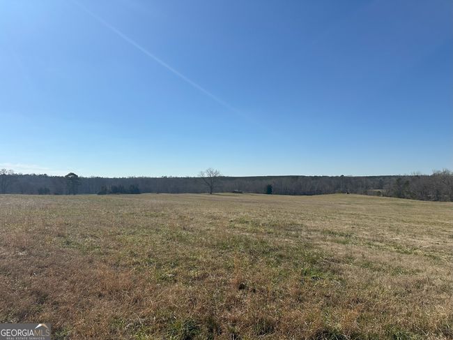 2018 Elberton Rd, Home with 0 bedrooms, 0 bathrooms and null parking in Carlton GA | Image 7