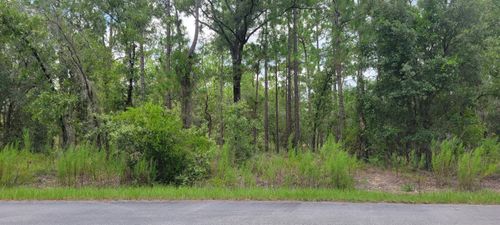 0 Nw Chestnut Ave, Dunnellon, FL, 34431 | Card Image