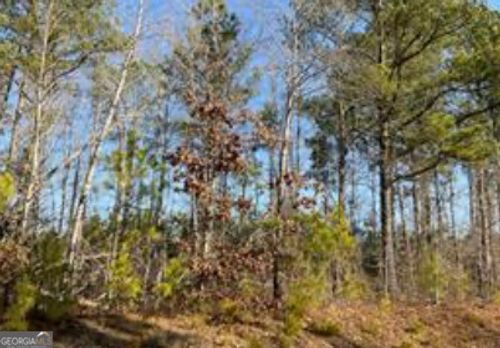 --- Steadman Rd, Tallapoosa, GA, 30176 | Card Image