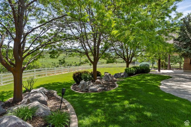 View of yard | Image 12