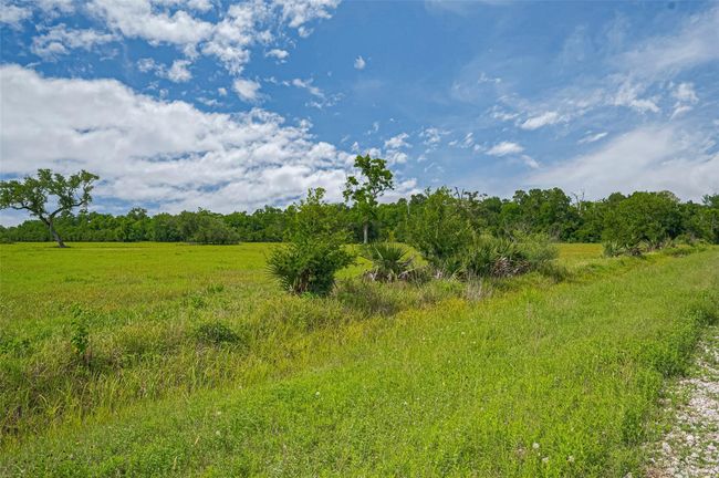 2015 Summers Rd, Home with 0 bedrooms, 0 bathrooms and null parking in Damon TX | Image 11