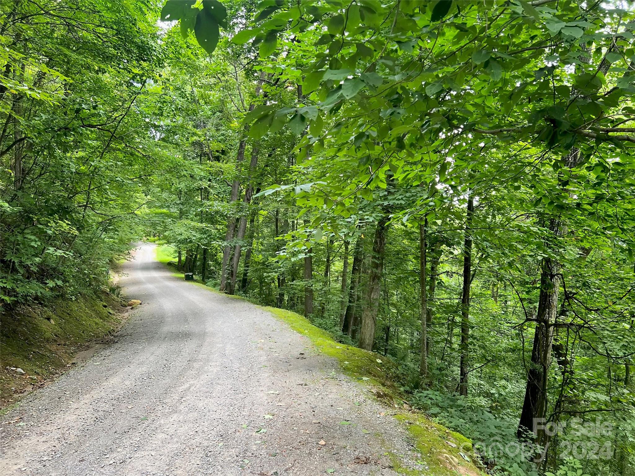 Land in Waynesville 3