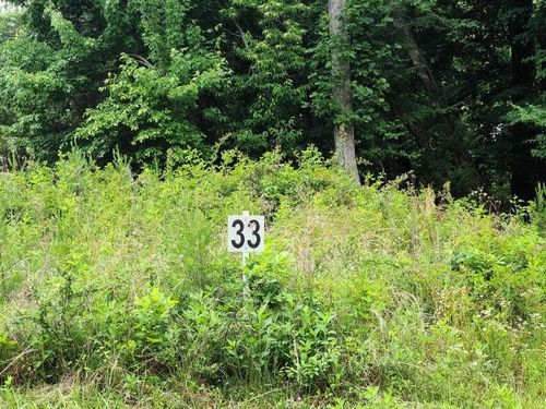 Lot 33 Dillards Hill Rd, Union Hall, VA, 24176 | Card Image