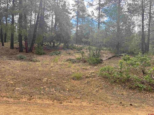 1259 Westview Rd, Pagosa Springs, CO, 81147 | Card Image