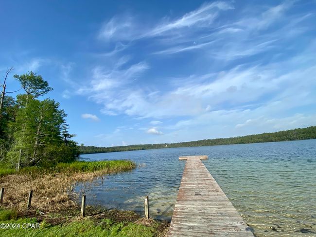 Lot 27 Southern Blvd, Home with 0 bedrooms, 0 bathrooms and null parking in Alford FL | Image 8