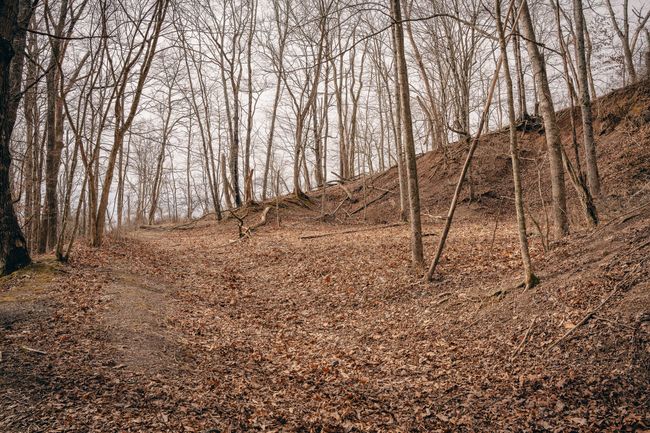 McMillan pic 6 | Image 10