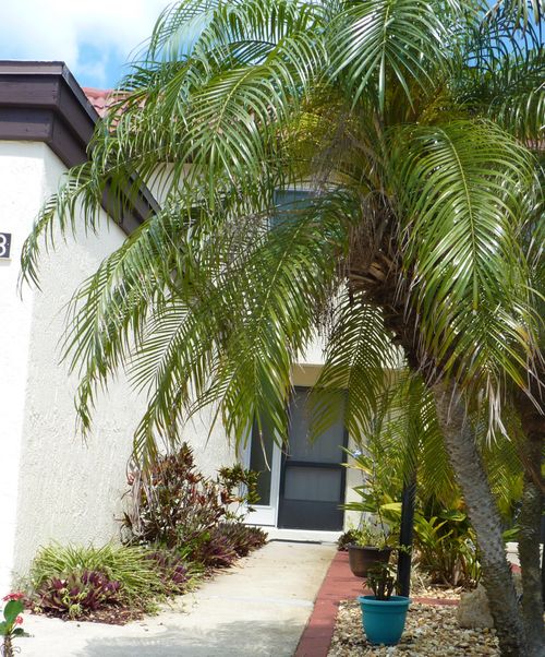 8718 Bay Ct, Cape Canaveral, FL, 32920-2030 | Card Image