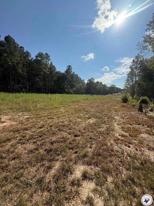 1180 Miller County 57, Texarkana, AR, 71854 | Card Image