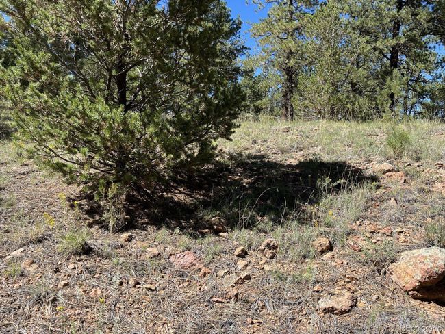 82 Kiowa Cir, Home with 0 bedrooms, 0 bathrooms and null parking in Westcliffe CO | Image 4