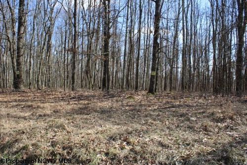 Lot 3 Sand Bank Heights Road, Masontown, WV, 26542 | Card Image