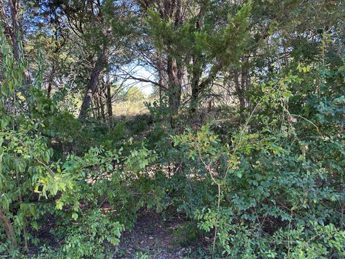 LOT 9 Robin Run, Bastrop, TX, 78602 | Card Image