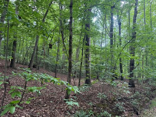 25 Mccracken Pt, Hayesville, NC, 28904-1509 | Card Image