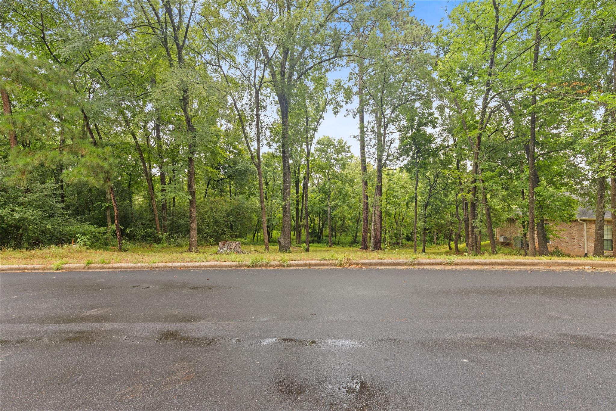 Land in Huntsville 5
