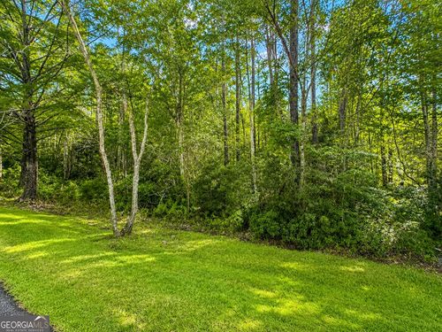 LOT 163 La Terra Ln, WAVERLY, GA, 31565 | Card Image