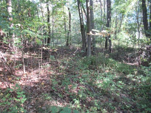 17538 Paradise Lake Rd, Vandalia, MI, 49095-8702 | Card Image