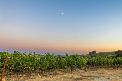 1299 Duhig Rd, Napa, CA, 94559 | Card Image