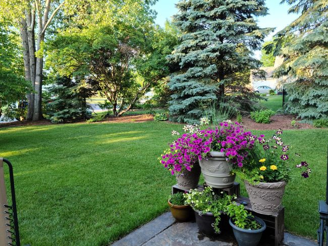 Seasonal backyard patio! | Image 43