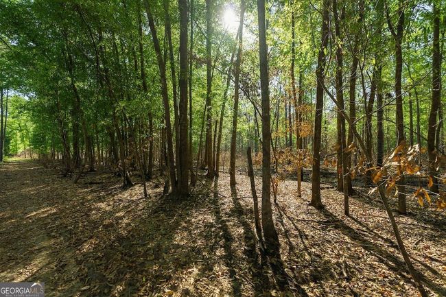 6053 Sun Hill Grange Rd, Home with 0 bedrooms, 0 bathrooms and null parking in Davisboro GA | Image 11