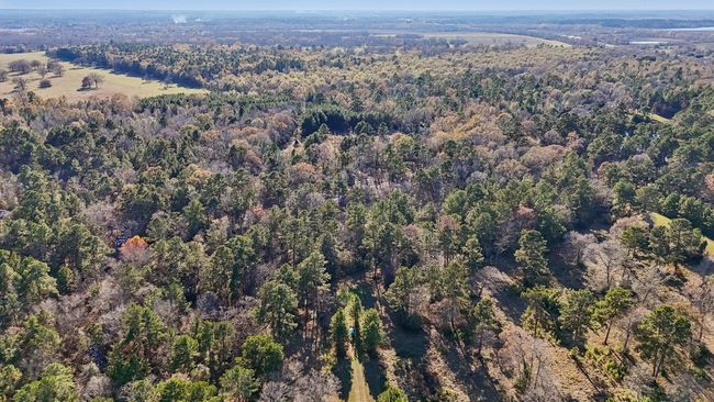 0 Bay Tree St, Home with 0 bedrooms, 0 bathrooms and null parking in Trinity TX | Image 11