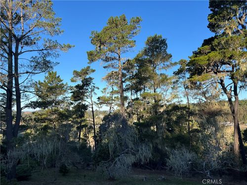 3235 Rogers Dr, Cambria, CA, 93428-3924 | Card Image