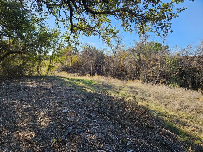 442 Hollow Dr, Home with 0 bedrooms, 0 bathrooms and null parking in Lipan TX | Image 8