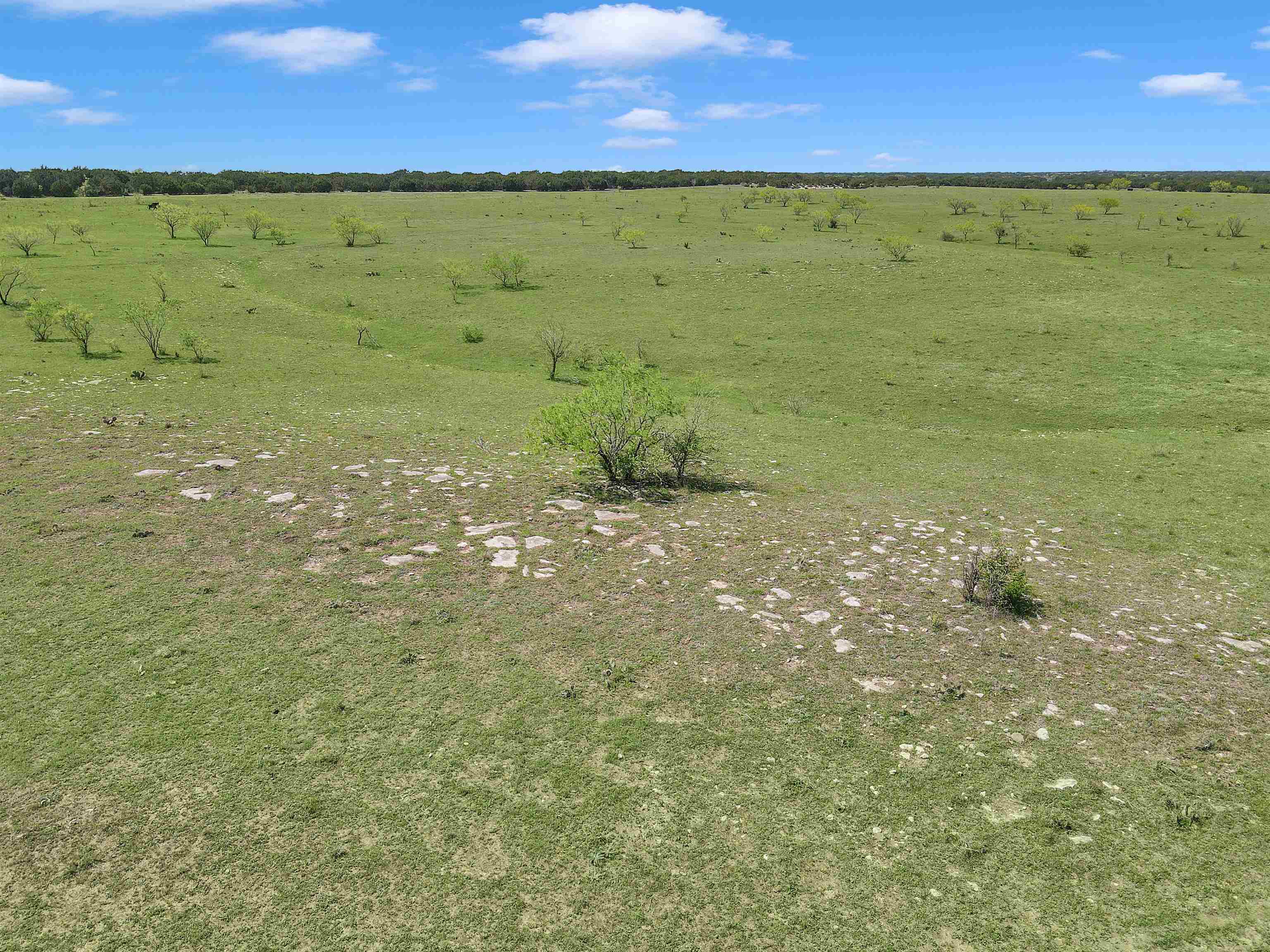 Farm in Burnet 4