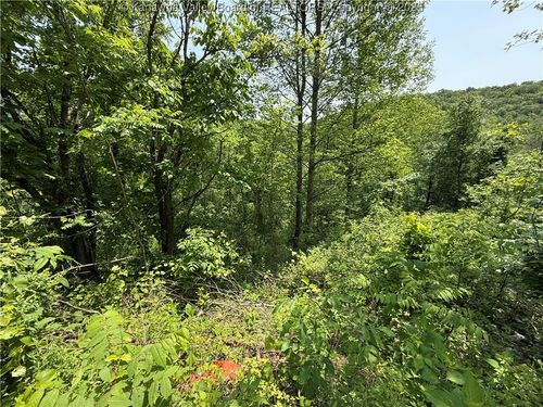 160 Pine St, Charleston, WV, 25311-8621 | Card Image