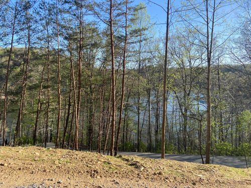 974 Cliffs Edge Rd, East Bernstadt, KY, 40729-6524 | Card Image