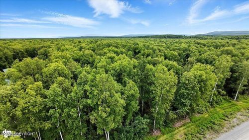 19961 E Goshawk Way, Willow, AK, 99688 | Card Image