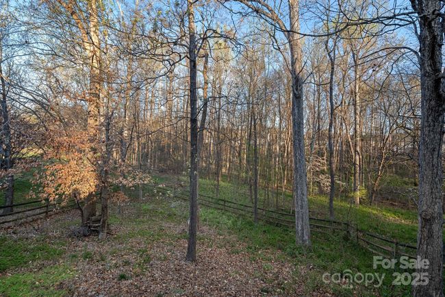 Backyard | Image 26