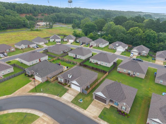 2250 Matthews Meadows Ln, House other with 4 bedrooms, 2 bathrooms and null parking in Conway AR | Image 23