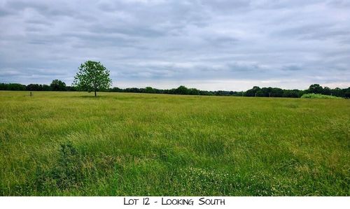 Lot 12 Prairie View Rd, Brighton, MO, 65617 | Card Image