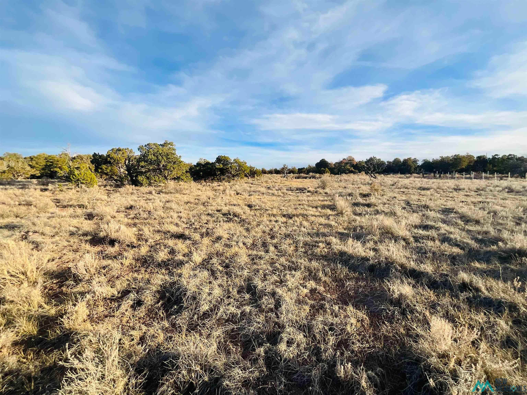Land in Jamestown