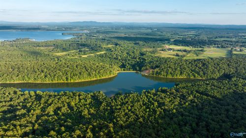 1, 157 AC County Road 505, Leesburg, AL, 35983 | Card Image