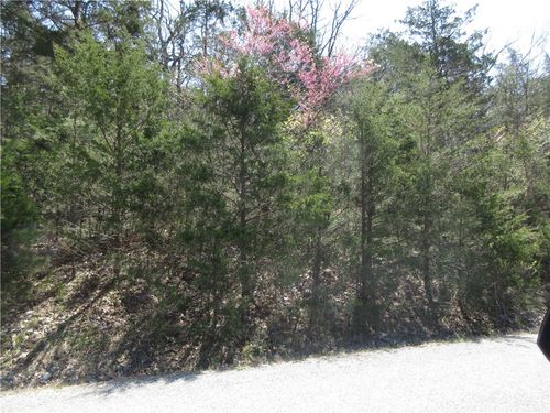 Lot 6 Hillside Dr, Holiday Island, AR, 72631-4616 | Card Image