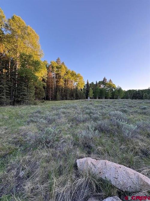2150 Spruce Rd, Cimarron, CO, 81220-9529 | Card Image